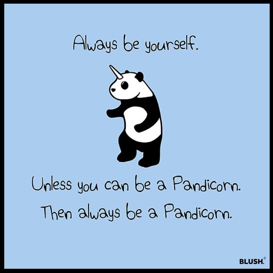 Blush_Channel's tweet image. 🐼 + 🦄

#GoalForToday #Pandicorn #Meme