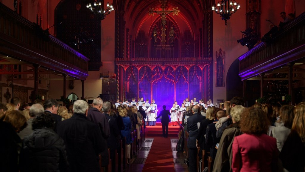 GOSHCharity's tweet photo. Join us after our much-loved Christmas Carol Concert on Tuesday 12 December for a champagne and canape reception @TheBerkeley. Take part in our luxury auction and Christmas cracker raffle, and hear first-hand how you are helping GOSH. Book now: https://t.co/41mGDHvlP5 https://t.co/VEV0k4scxw