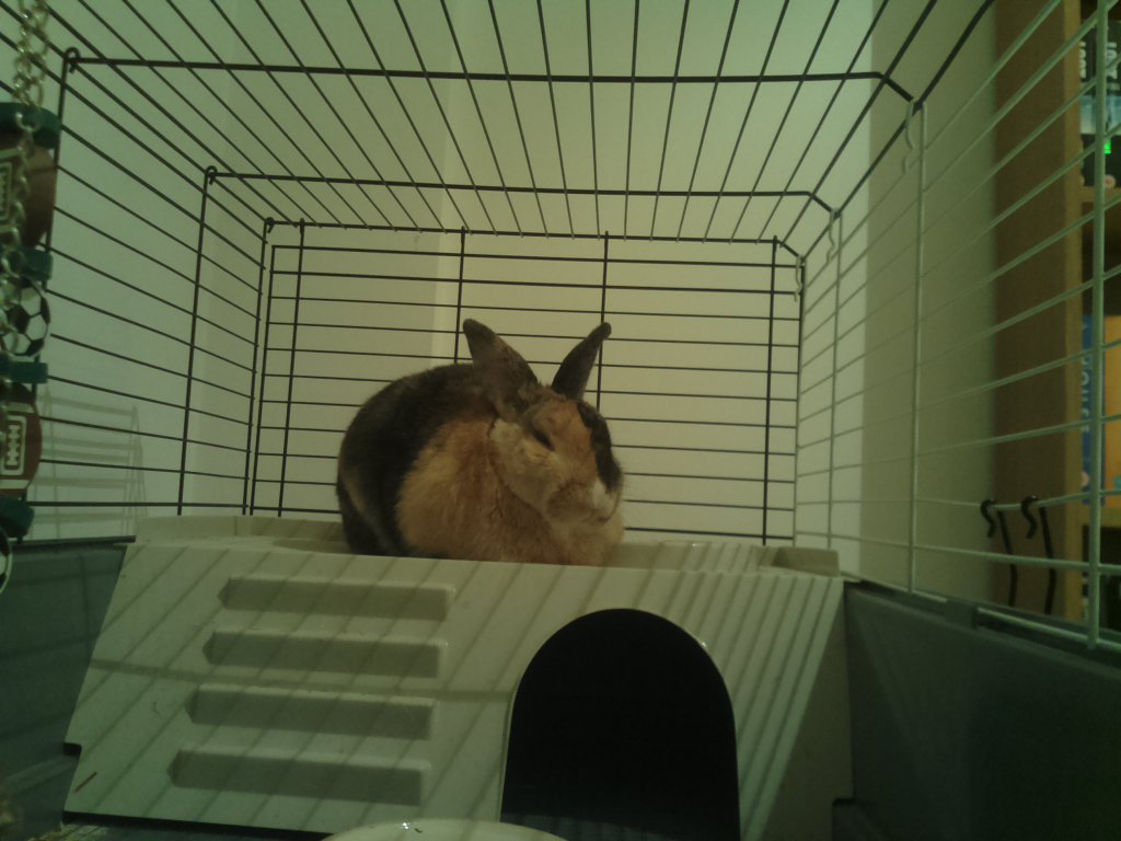 DexVision's tweet image. Dexvision live update at: 2017/11/28 14:00:02