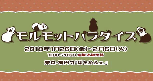 来年高円寺ぽたかふぇ。にて開催のモルモットパラダイス』！カフェならではの企画やイベントなども計画しております😊12月初旬にWebサイト公開、DMなども配布予定ですのでお楽しみに♪