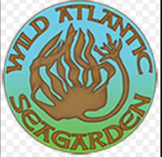 Sea Change Project tweet media