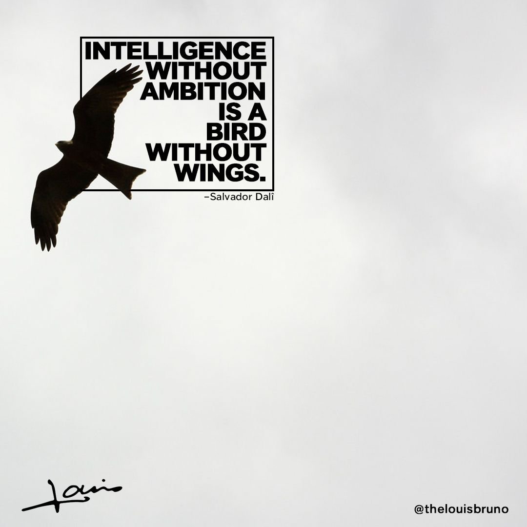 thelouisbruno's tweet photo. "I am ambitious. I set goals; not because I am ungrateful for what I have, but because I am happy with who I am. I enjoy the experience of rising above my perceived limitations and discovering new levels of my capabilities." –Dr. Steve Maraboli #TuesdayThoughts #LifeTipTuesday 🦅 https://t.co/GbgTSegIaV