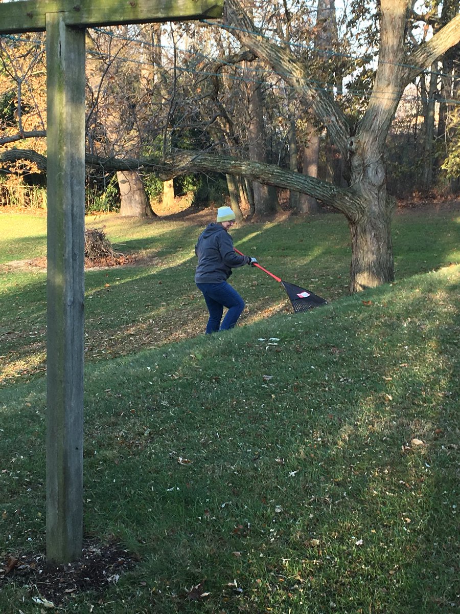 Carrascoscrew's tweet photo. Leaf raking at Mrs. Jackson’s house. #EASDGivingback https://t.co/T5bQJDsPYQ