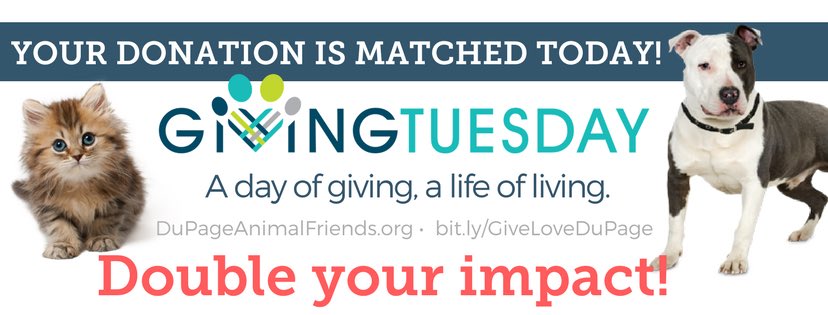 This #GivingTuesday, we are raising funds for lifesaving medical equipment at @DuPageCACC Donate Here: bit.ly/GiveLoveDuPage THANK YOU! ❤️