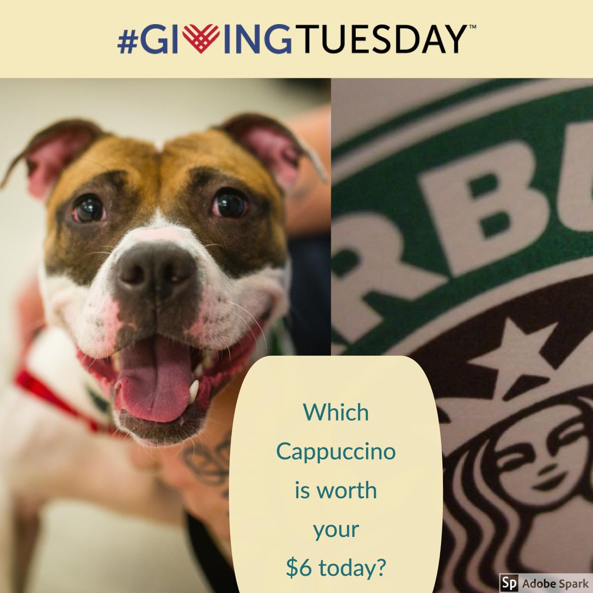 NewLeashUSA's tweet photo. #GivingTuesday is today! Join us in supporting dogs and people in need to celebrate #6YearsStrong!  https://t.co/BGy0hzpovK What is your $6 worth today? https://t.co/Wxr2hcSlsS