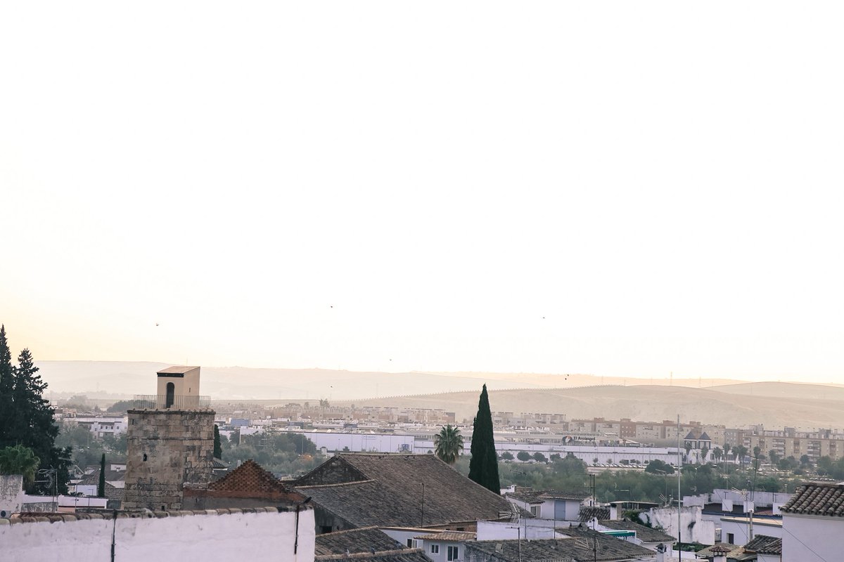 Atlas_Addict's tweet image. "A few scattered journal entries. Details, moments, observations saved in the notes of my phone. Letters, written, sealed, sitting for weeks now on my desk. I’ve been searching for words to capture my experiences...and I’ve come up empty every time." atlasaddict.net/november-devin…