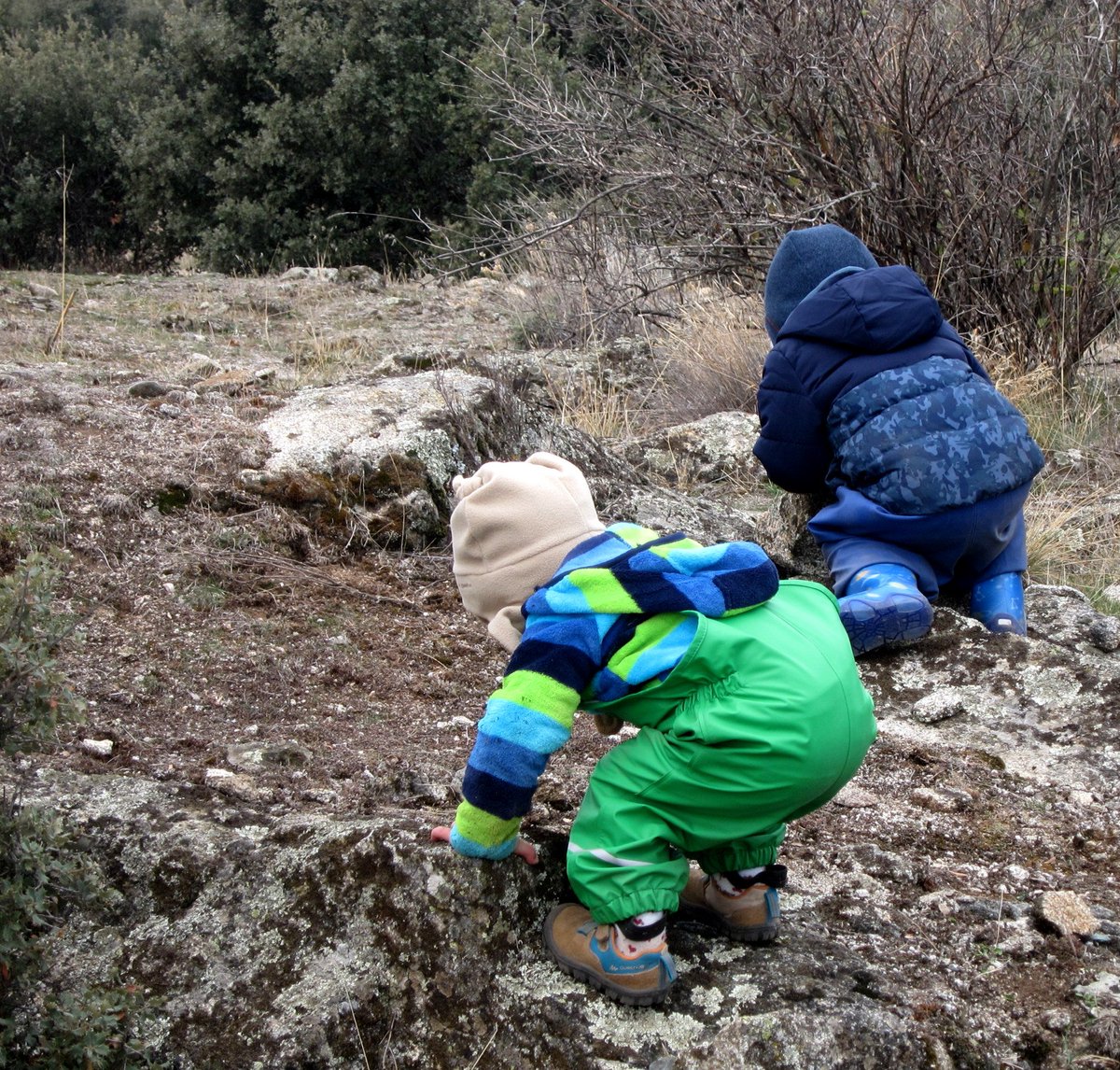 ojala_hoja's tweet photo. #outdoorkids #outdoorplay #playoutside #escuelabosque #forestschool #Alpedrete https://t.co/g7ibXUpEBF