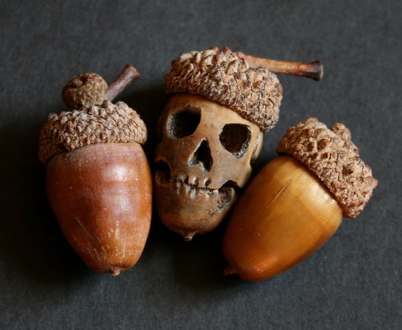 Grand_DM's tweet image. New Magic Item: Skorn (skeletal acorn). Produced by the rare Macabre Oak, these are coveted by wizards. Upon sowing a skorn into the earth, 1d4 skeletons will rise to command for 1 minute. More then one village has been plagued by skeletons do to squirrels burying skorns. #dnd