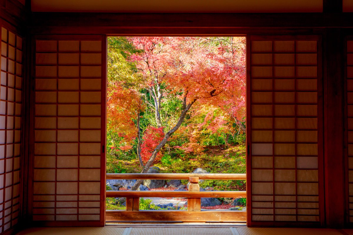 からす 昔の日本は 家の中に絵を飾るのではなく 外の景色を絵のように楽しんでたんだって 京都 宝筐院 秋 紅葉 額縁 写真