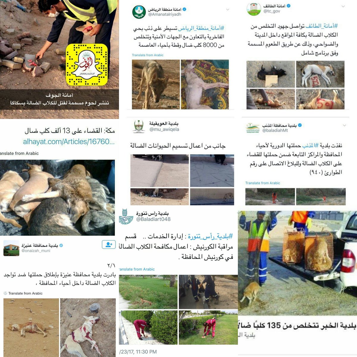 #اوقفوا_تسميمهم٦ 

نرفض التسميم لأنه: 
١- لا يجوز قتل حيوان غير مؤذي بطريقة تعذيبية.
٢-مخالف لنظام الرفق بالحيوان لدول مجلس التعاون الخليجي.
٣-مادة الاستركنين المستخدمة من قبل البلديات مضرة بالبيئة وصحة العاملين.
٤- التسميم غير فعال في التحكم في اعداد الحيوانات.