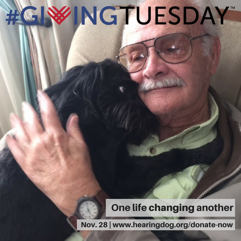 IntlHearingDog's tweet photo. Today is the day! It's #GivingTuesday and we need your help to reach our goal of $2,000! Please donate now to do your part and then share our information with  your family and friends so they can help out too. You can donate at https://t.co/9fs8GhAQXs. https://t.co/q37bFCtm2A