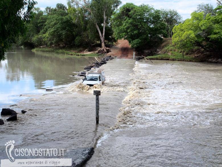 CiSonoStato's tweet photo. "Il fiume è frequentato da coccodrilli, rimanere in auto a metà guado è un'esperienza da non provare!"
Qui altre foto e il resto del racconto >>> https://t.co/GzGQlyLO7C
#Australia #visitAustralia #Aussie @Australia @TourismAus https://t.co/NROmysZ0nx