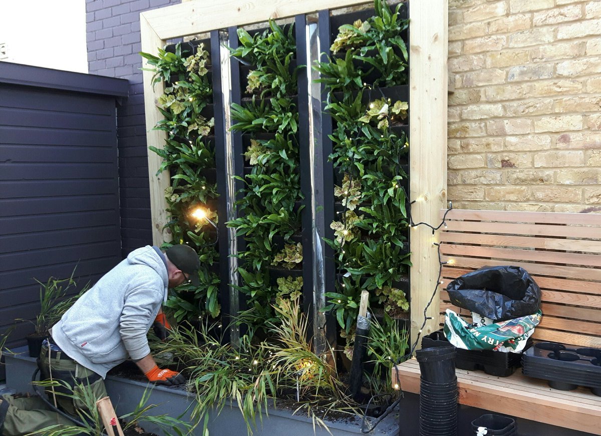 Planting a vertical garden <a href="/verticalgrowers/">Treebox Ltd</a> mirrors and fairy-lights in amongst the ferns #landscaping #architecture #homeimprovement