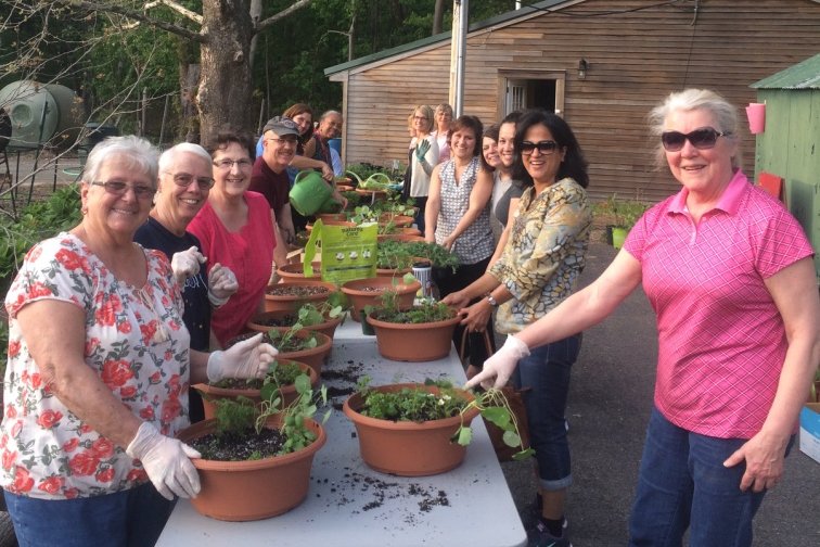 CCESchenectady's tweet image. It&apos;s here! NY Gives Day! Please consider supporting the programs of Cornell Cooperative Extension.  
ow.ly/zj1o30gMCnm