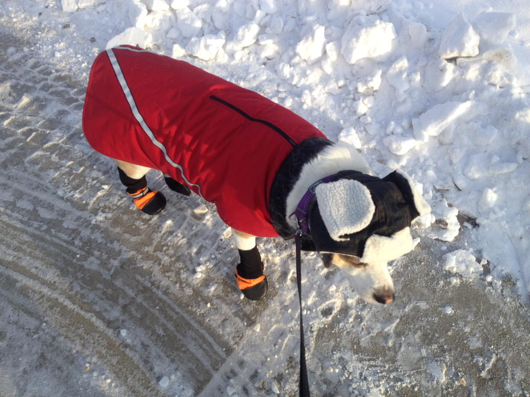 chantel_leroux's tweet photo. Northern Life https://t.co/pxIx0OzeQE