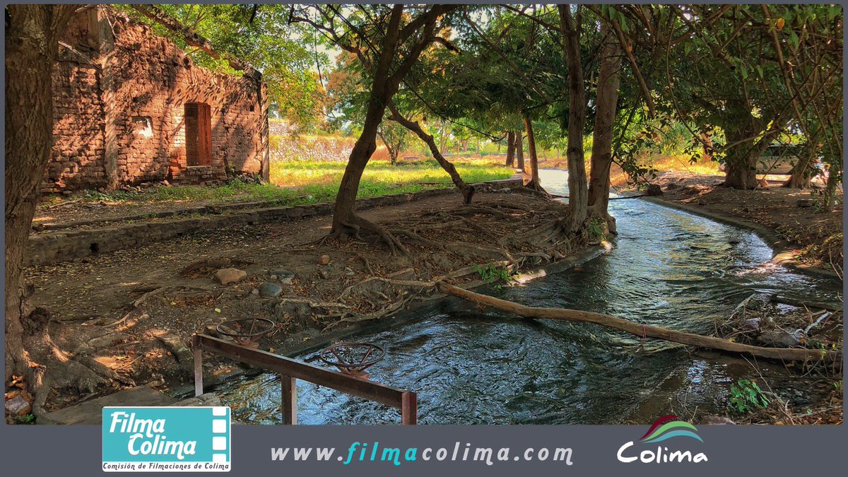 turismoarmeria's tweet photo. En Colima encontrarás las locaciones ideales para hacer la película de tus sueños. ¡No lo pienses más! Tenemos un lugar especial para cada una de tus ideas... #UnDestinoDePelícula #FilmaColima @CeaTelevisa @Academiadecine @unioncineastas @cineastasONG #ArmeríaEsTuDestino! https://t.co/cVXv5ImWxu