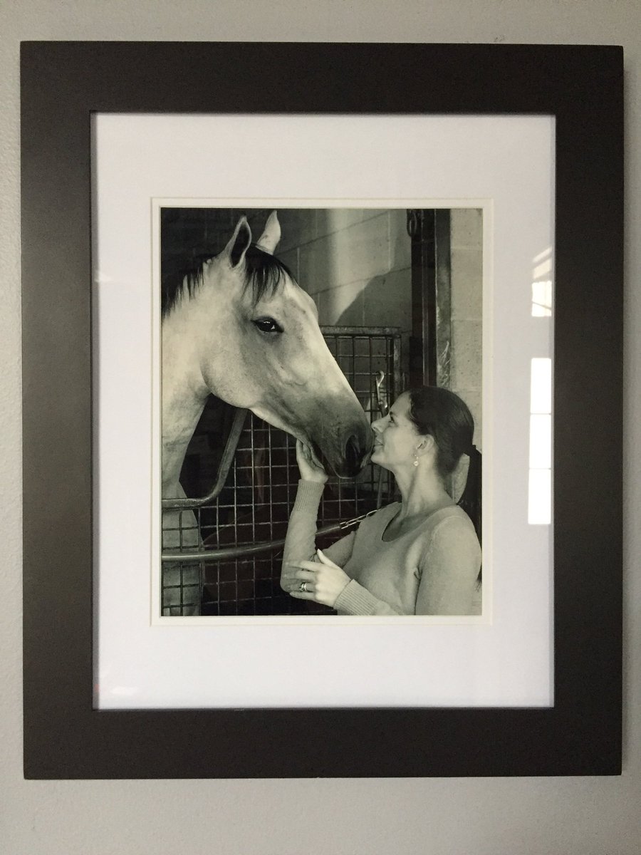 gofilly's tweet photo. Thank you @mrwillw for these beautiful pictures - they look awesome in my racing room ❤️
#worldapproval #notabiter #allgreyrace https://t.co/5IrSJjGaGB