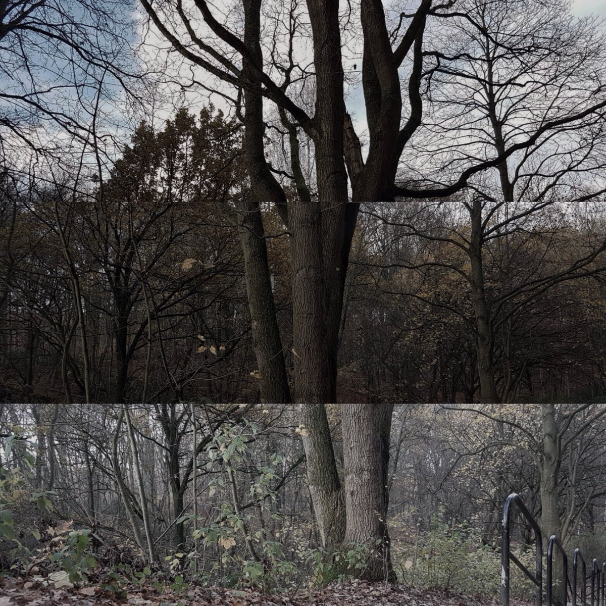 1davidovi's tweet photo. #triptych #mslearns https://t.co/KGWTQ62OHC