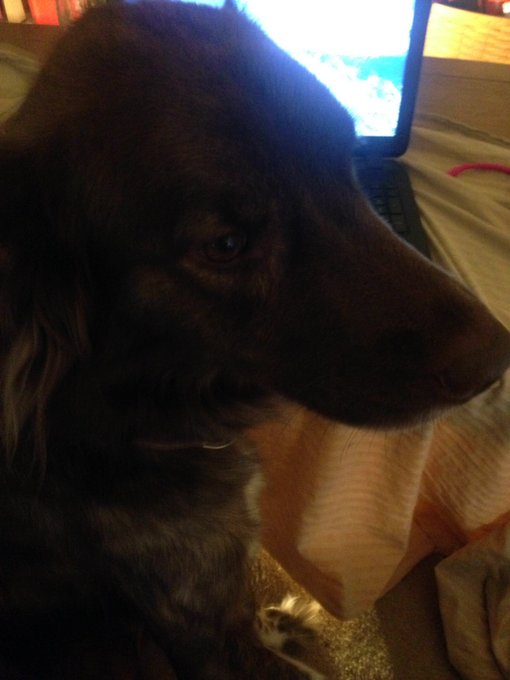 But mom I wanna hAng out!!! https://t.co/171O0Lnj4R<a href="/tag/neverforgotten"class="tags"><span>#neverforgotten</span></a>