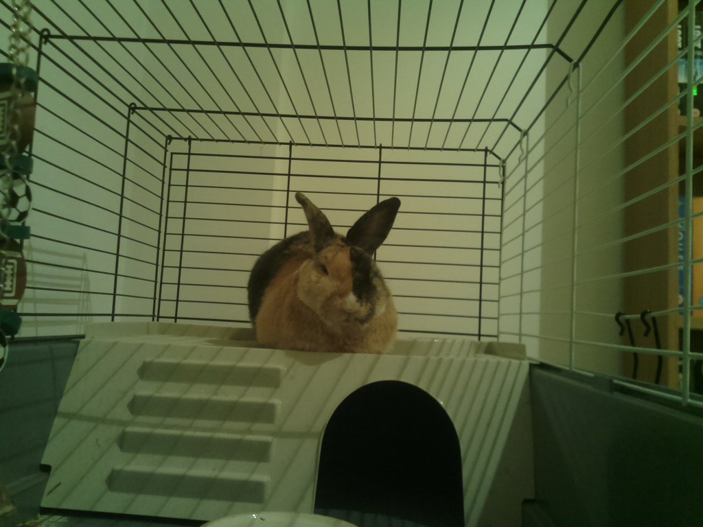 DexVision's tweet image. Dexvision live update at: 2017/11/28 15:00:02