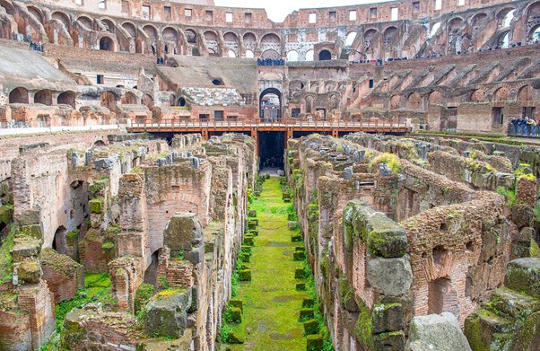 Despite these early losses, the Colosseum is still a haven for plants. A study between 1990-2000 found 243 distinct species still growing there, although this number is scarcely half what Deakin observed in the C19th.