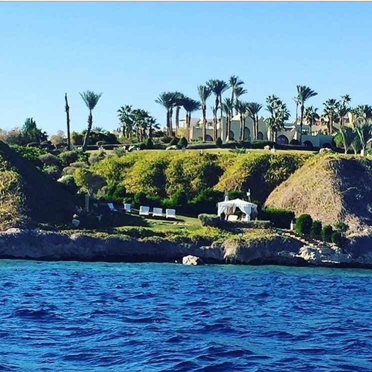 PatriziaCilli's tweet photo. A little #Destination #inspiration this #traveltuesday for all you #brides looking for #weddinglocation and #honeymoonideas! Let @fssharmelsheikh be your #venue! #sharmelsheikh #egypt #pcbrides #patriziacillievents #travel #travelblogger #love https://t.co/MVACrZzRiD https://t.co/Ps5DNEvA3K