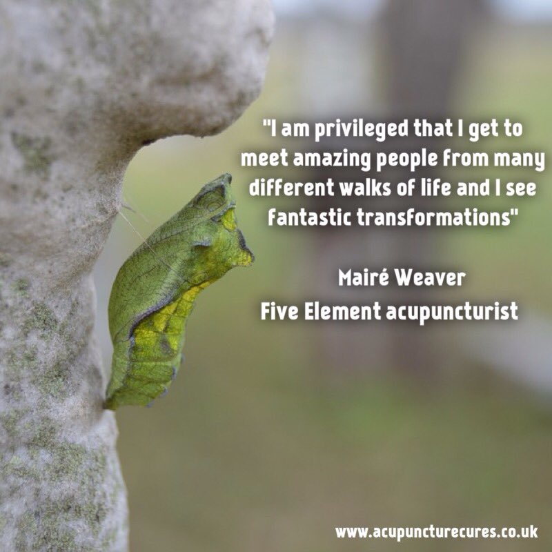 Five element acupuncture is transformational. Find out why bit.ly/2AeOI56 #holistichealth #wellbeing #selfcare #changeyourself