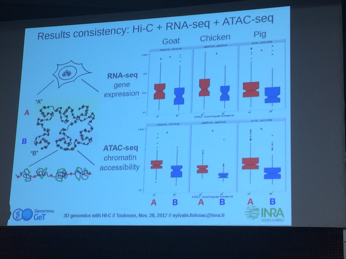 GeT_Genotoul's tweet photo. #GeT2017 Agencode &amp; FAANG HI-C + ATACseq + RNAseq @illumina on #pig #chicken and #goats A / B compartments found by Sylvain Foissac @inraDGA https://t.co/WUmmc08i4i