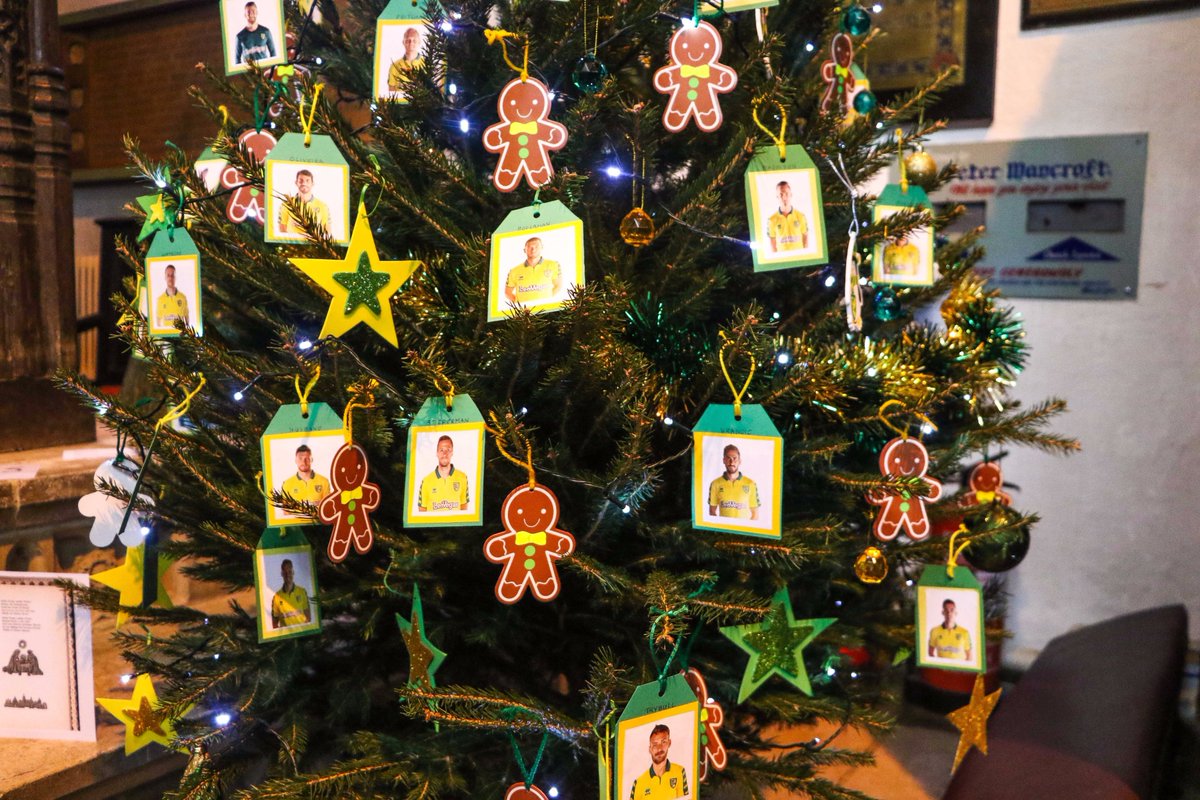 NorwichCityCSF's tweet photo. When you leave the Xmas decorating to die-hard @NorwichCityFC fans...πππ A sterling contribution to the Christmas Tree Festival from our #ExtraTimers. Thanks to @DippleandConway for sponsoring our tree. https://t.co/x3XQ1QXoyw