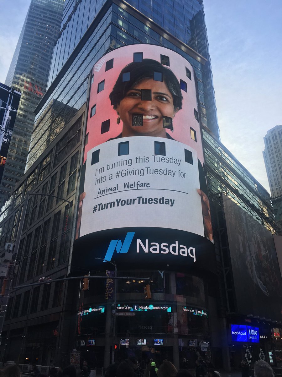 MikeGianoni's tweet image. Good is taking over Time Square! I love seeing so many ways @blackbaud customers, partners, and employees are celebrating #socialgood this #GivingTuesday
