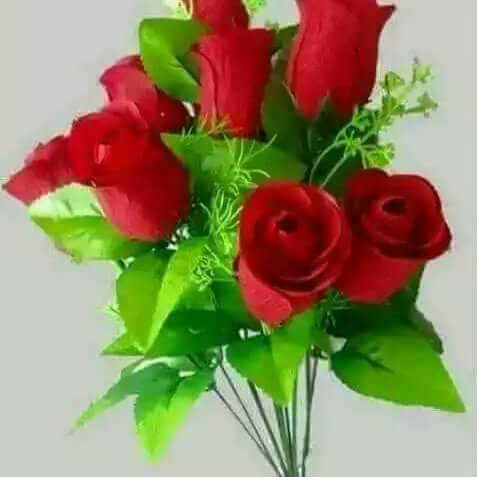 Himiki7's tweet photo. @yara_lb  https://t.co/dF3xiMVEXL