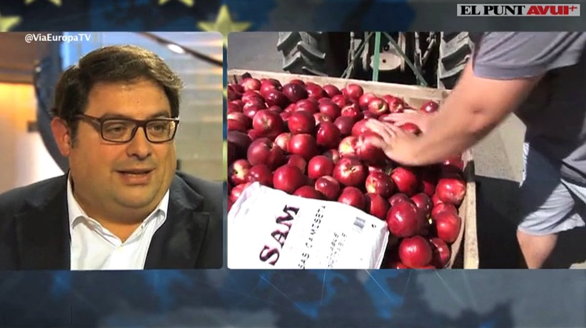 fgambus_eu's tweet photo. El sector #fruitaDolça està patint les conseqüències de les sancions de la #UE a #Rússia. Com des de 2014, seguirem reclamant a la Comissió Europea q estableixi mecanismes d'ajuda automàtics per superar #vetoRus
📝Al programa @ViaEuropaTV d'@elpuntavuitv: https://t.co/hdrkiRU4r1 https://t.co/zgZAHkGryE
