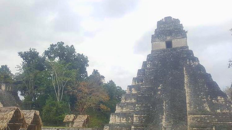 jetcetlife's tweet photo. Misty days of the Mayans •
•
•
#tikaltemple #tikal #guatemala #mayanpyramids #jetcet #jetcetlife #jetcetera #travel #travellife #travelwell #goodvibes #vacation #landscape #architecture #wanderlust #traveling #bags #luggage #doppkits #accessories #l… https://t.co/2zj9zW1F9b https://t.co/bb4Znt3kSV