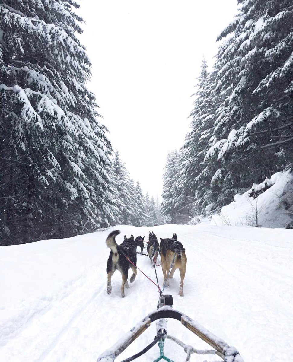 We’ve got some really exciting holiday campaigns lined up. Looking for photographers based in Tampa, Florida &amp; San Francisco, California. Reply to this tweet, DM us, or nominate a friend by tagging them!