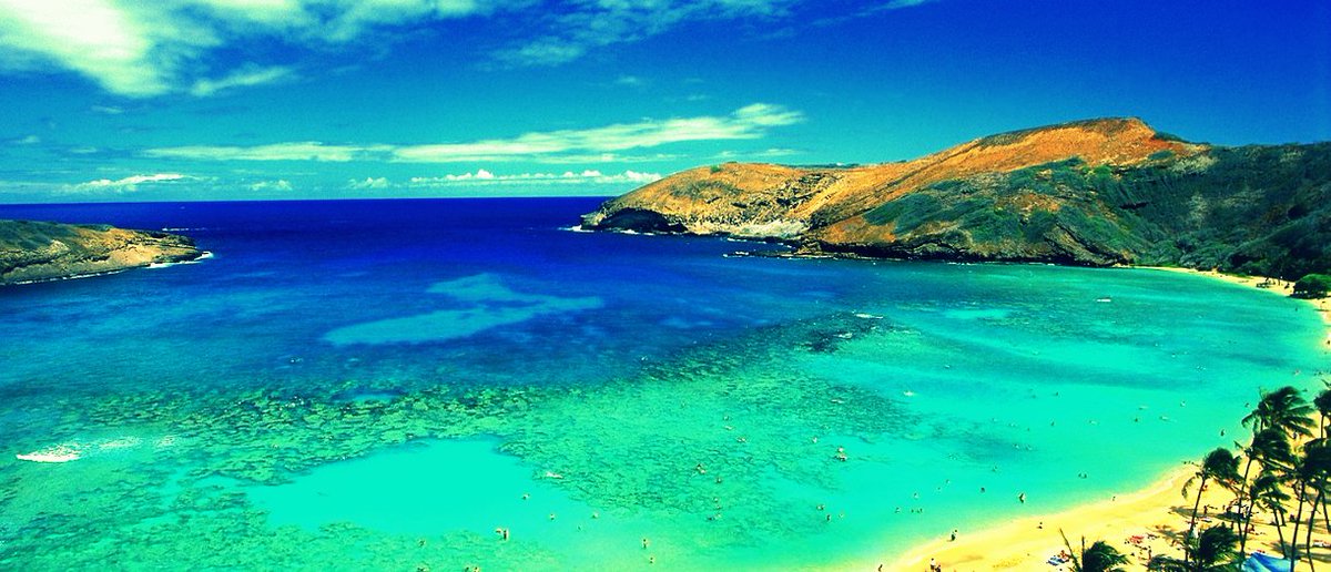 BuffalosTravel's tweet photo. @JMUZTA Already stressed about spring break planning? The team @BuffalosTravel is here for you! Plan your trip with us and we guarantee you'll have a blast! Call us to speak to one of our travel agents today! #BuffalosKnows https://t.co/qPLe8NPkXz