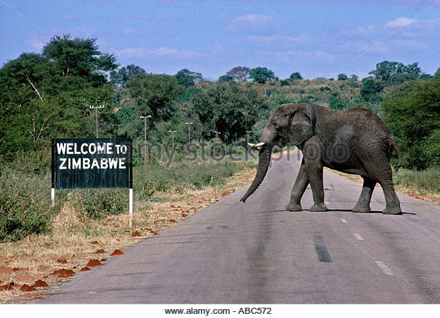 "Freed from Robert Mugabe’s clutches, Zimbabwe is poised to be one of next year’s hottest holiday destinations." Read more from <a href="/thetimes/">The Times and Sunday Times</a> 
thetimes.co.uk/edition/travel…
#Zimbabwe are you ready?
#VisitZimbabwe