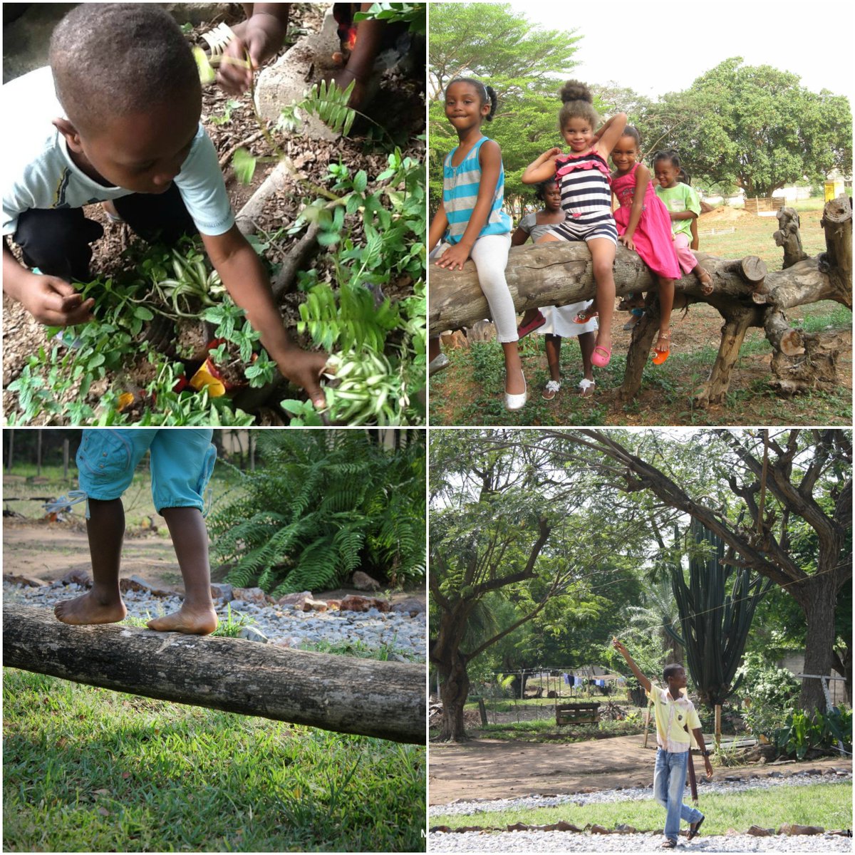 Mmofra_Ghana's tweet photo. Please give kids #nature. This #GivingTuesday #donate to support #MmofraPlace #park, Accra https://t.co/nZpqLMPQ96 https://t.co/3VMfwJ8AEx