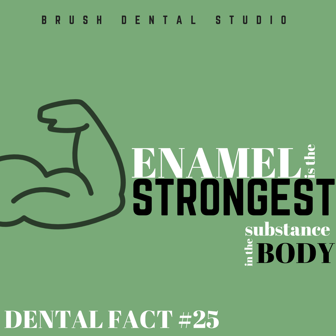 BrushDental's tweet photo. Happy Toothsday! https://t.co/DjkVW2XJ54