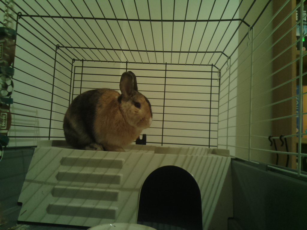 DexVision's tweet image. Dexvision live update at: 2017/11/28 16:00:01