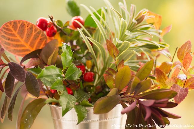 MomentsintheG's tweet photo. Foliage and berry collection. There is always something interesting in the garden even at this time of year. #floralarrangement #berries #foliage #mintjulepcontainer #euphorbialeaves #smokebushleaves #hollyleaves #rosehipberries #momentsinthegardenphotography https://t.co/nsRLGjigM3