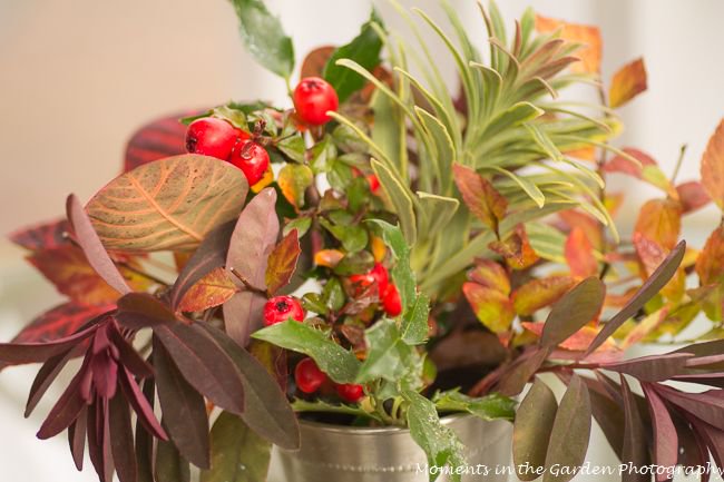 MomentsintheG's tweet photo. Foliage and berry collection. There is always something interesting in the garden even at this time of year. #floralarrangement #berries #foliage #mintjulepcontainer #euphorbialeaves #smokebushleaves #hollyleaves #rosehipberries #momentsinthegardenphotography https://t.co/nsRLGjigM3