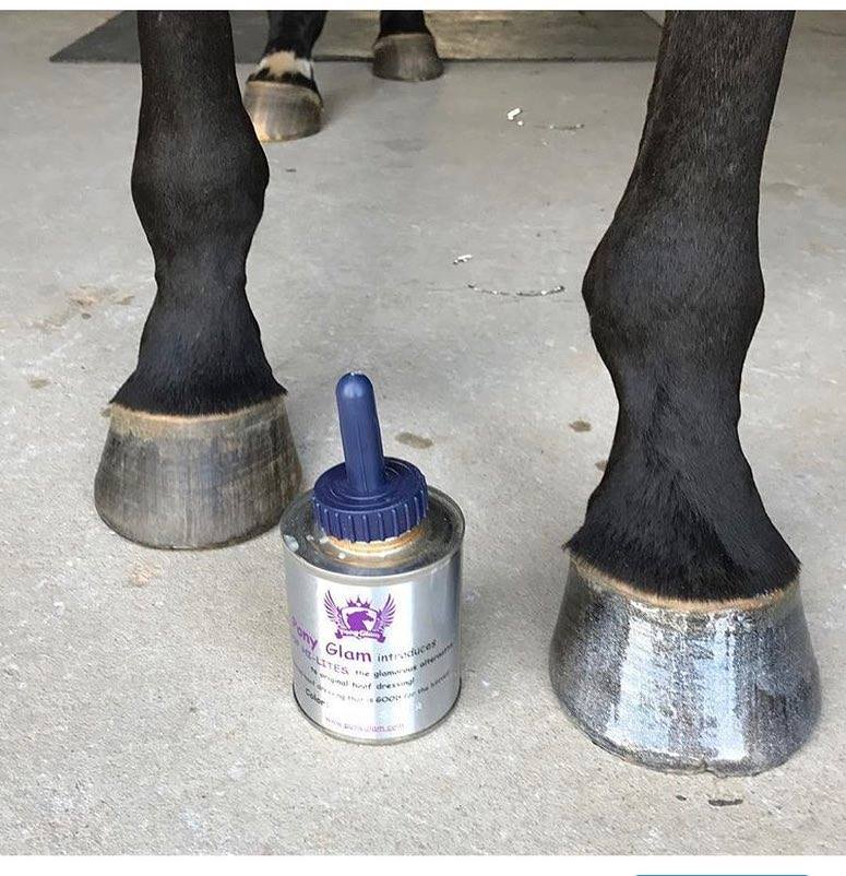 HorseBoxers were THRILLED to receive <a href="/Pony_Glam/">Pony Glam</a> Hoof Hi-Lites in their October HorseBox! Hoof Hi-Lites is a colored hoof dressing that moisturizes and conditions your pony’s hooves while adding the perfect amount of glam! Great gift for any equestrian! #horses #HorseBox