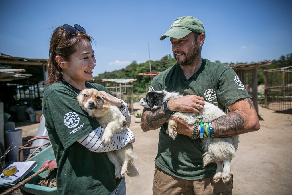 humaneworldcan's tweet photo. Thank you so much for your support and generosity on this #GivingTuesdayCA. We could not do what we do if it weren't for people who cared about animals. See our campaign page here: https://t.co/4mDatRA5rD https://t.co/pj2ehHITzn