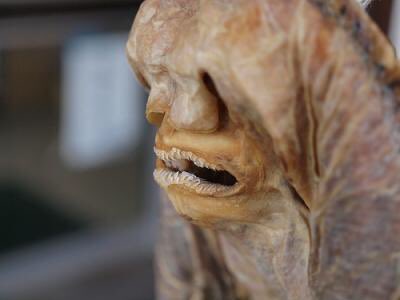 mungnyangii's tweet image. 그래. 마른가오리의 강함을 좋아한다