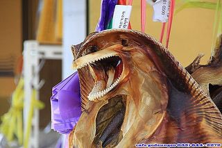 mungnyangii's tweet image. 그래. 마른가오리의 강함을 좋아한다