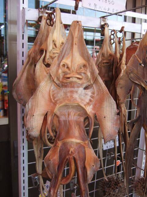 mungnyangii's tweet image. 그래. 마른가오리의 강함을 좋아한다