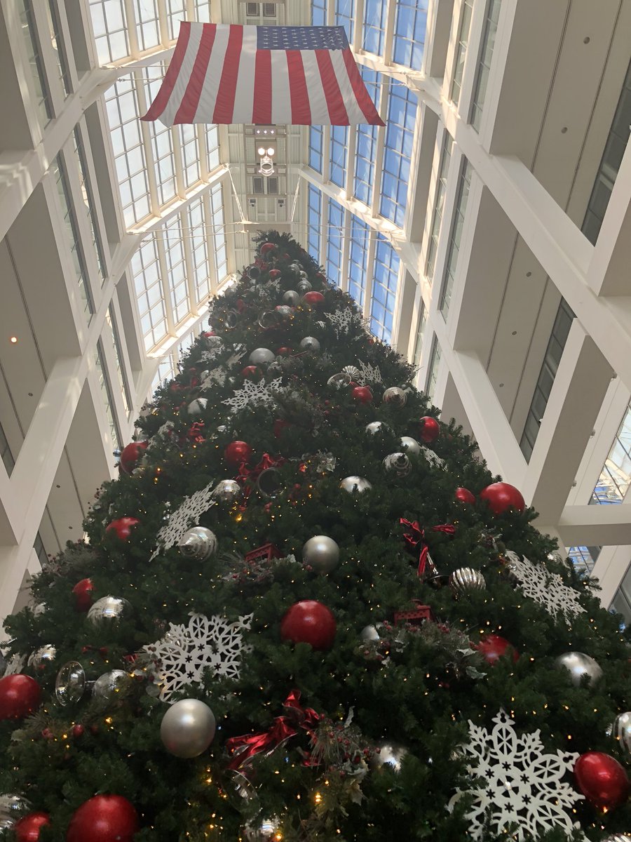 patent_KEY's tweet photo. USPTO annual Christmas tree takes one day to build  40 ft high https://t.co/0CJaDgctOI