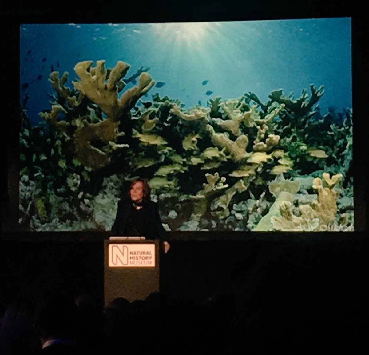 FinsandFluke's tweet photo. MissionBlue: RT AluciaProd: “Take care of our planet as if our lives depend on it - because they do.” Great message from SylviaEarle at NHM_London Annual Science Lecture #OurBluePlanet #NoBlueNoGreen #BluePlanet2 #ASL2017 missionblue https://t.co/PXxJdmXLB7