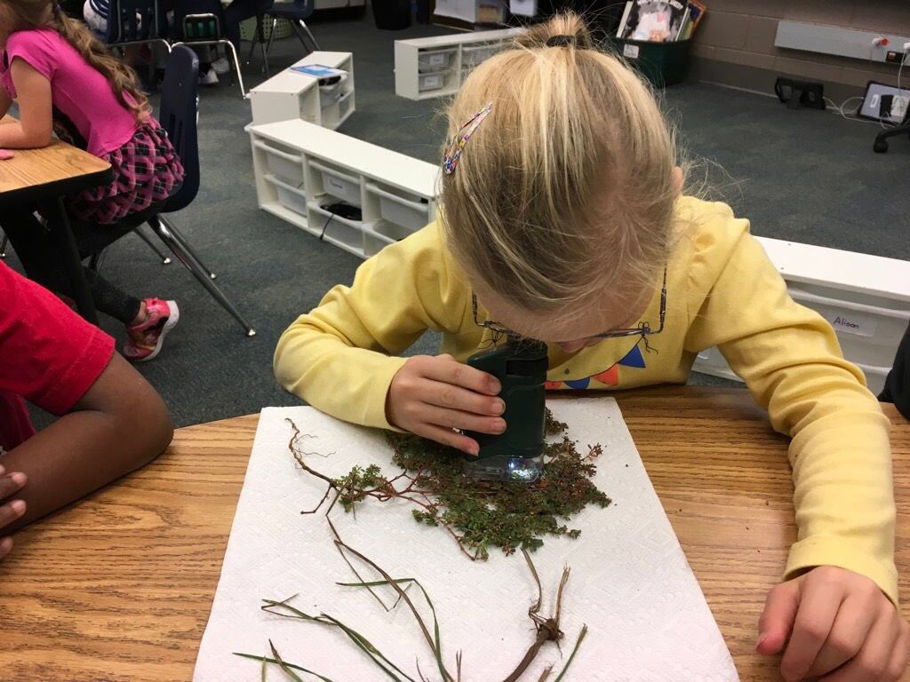HolmesMisty's tweet photo. Smart girl learning about plant science 🔬 #InclusionWorks #ABLE2Work https://t.co/OJaA3ei5KH