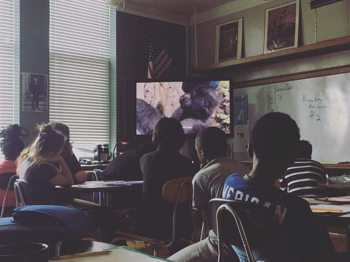 Mr. Patterson tweet media